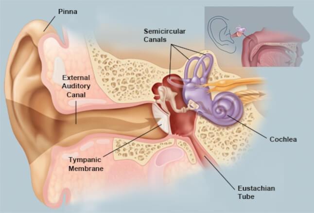 Ear Canal Microsuction Ear Canal Microsuction